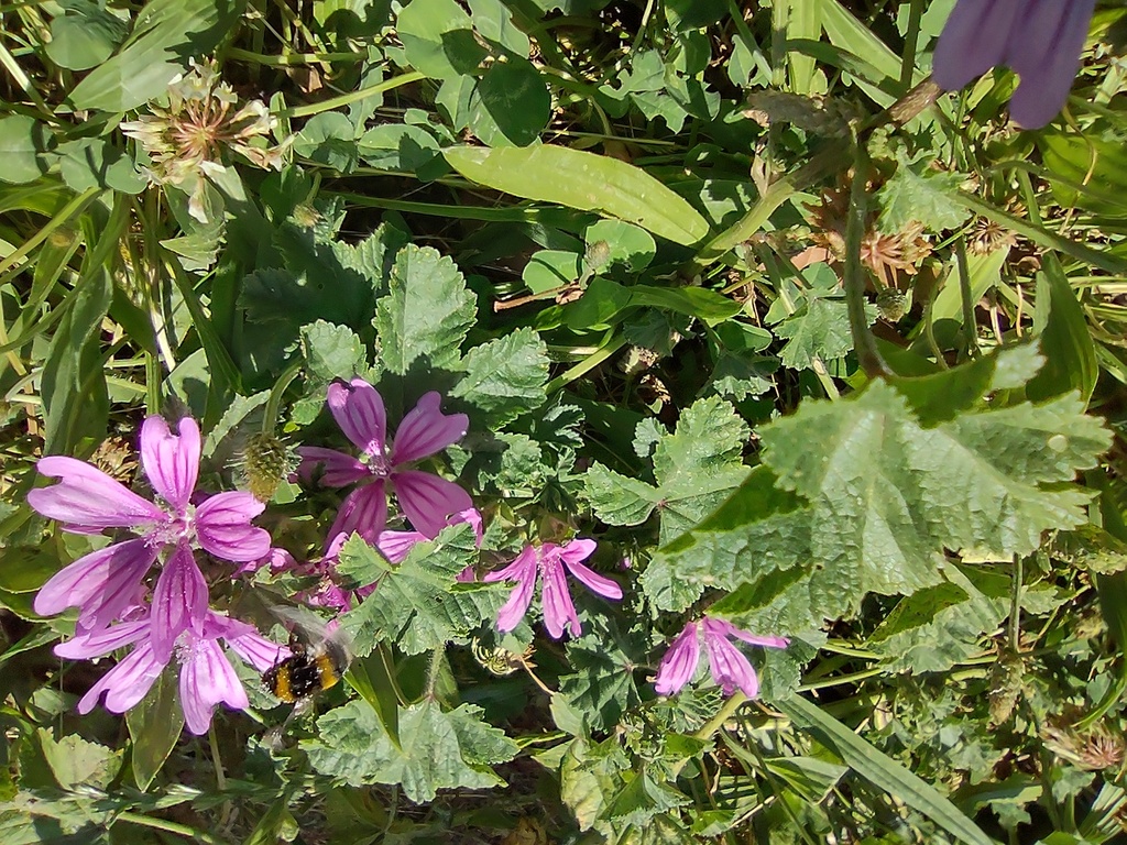 No s'ha trobat l'arxiu